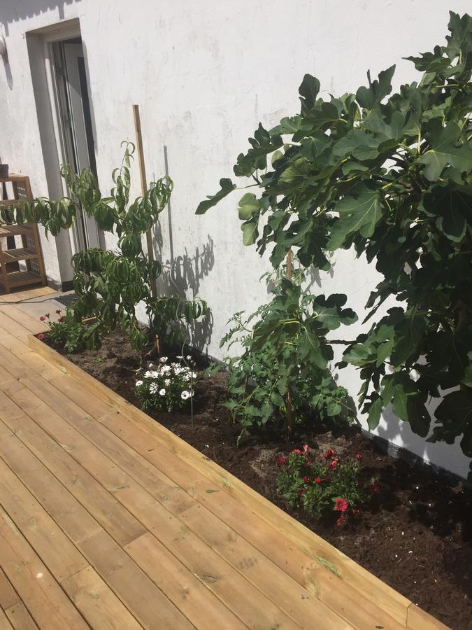 Molino Bed & Breakfast Bonnerup Strand Ngoại thất bức ảnh